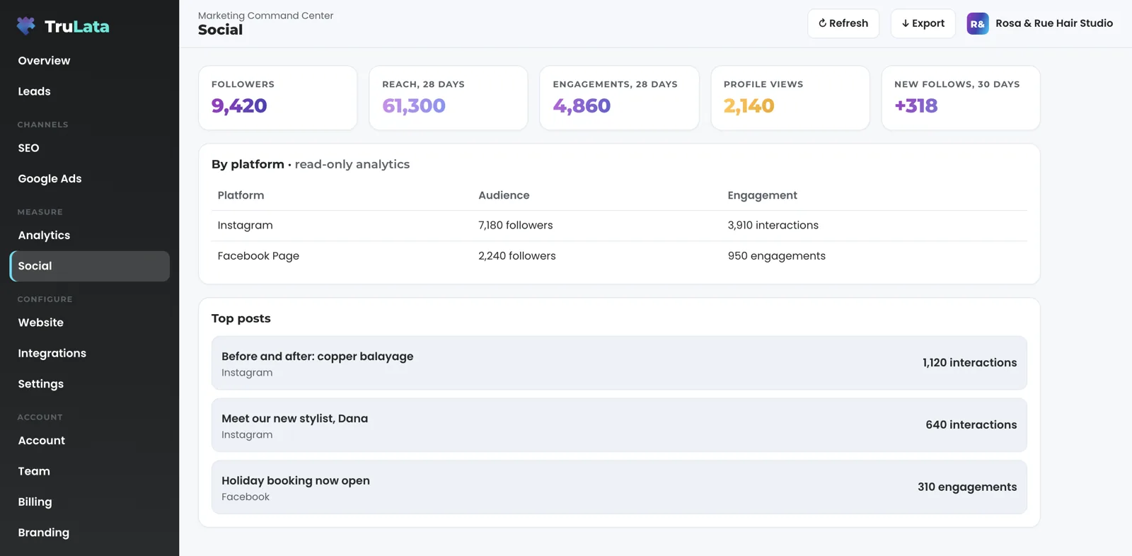 The read-only social view for a fictional hair salon: followers, reach and engagements over 28 days, profile views and new follows over 30 days, a row each for Instagram and the Facebook Page, and the top posts underneath.