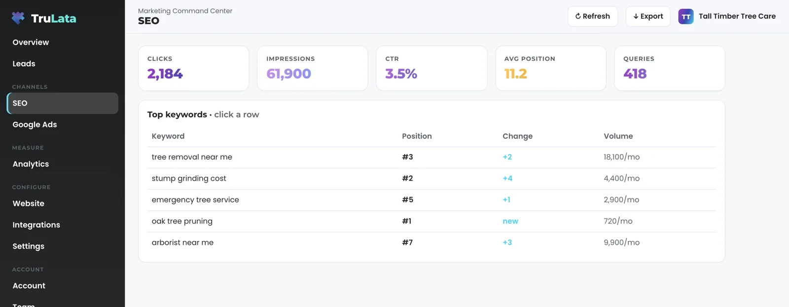 The search view for a fictional tree care company: clicks, impressions, click-through rate, average position and query count across the top, then queries such as tree removal near me and stump grinding cost with their positions and changes.
